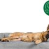 FurHaven Faux Fur Memory Top Bolster Dog Bed w/Removable Cover - Smoke Gray, Jumbo (X-Large)