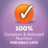 Purina Friskies with Turkey in Savory Gravy Extra Canned Wet Cat Food - (24) 5.5 oz. Cans