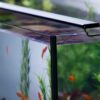 Current USA Satellite Freshwater Aquarium LED Light, 24 to 36-Inch