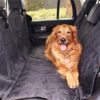 BarksBar Luxury Pet Car Seat Cover with Seat Anchors for Cars, (60" x 64")