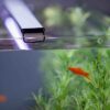 Current USA Satellite Freshwater Aquarium LED Light, 24 to 36-Inch