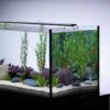 Current USA Satellite Freshwater Aquarium LED Light, 24 to 36-Inch