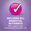 Purina Friskies Turkey Dinner in Gravy Prime Filets Canned Wet Cat Food, 5.5-oz, case of 24 Purina Friskies Turkey Dinner in Gravy Prime Filets Canned Wet Cat Food, 5.5-oz, case of 24