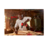 CRAFTSMAN CMCK200C2 V20 2-Tool 20-Volt Max Power Tool Combo Kit with Soft Case (2-Batteries Included and Charger Included)