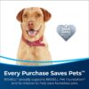 BISSELL MultiClean Allergen Pet Vacuum with HEPA Filter Sealed System, Powerful Cleaning Performance, Specialized Pet Tools, Easy Empty