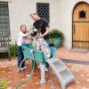 Booster Bath Elevated Dog Bathing & Grooming Center Steps