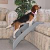 Booster Bath Elevated Dog Bathing & Grooming Center Steps