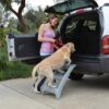 Booster Bath Elevated Dog Bathing & Grooming Center Steps