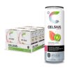 CELSIUS Essential Energy Drink 12 Fl Oz, Sparkling Kiwi Guava (Pack of 24)