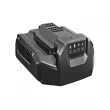 EGO CH2100 56-Volt Lithium Ion Fast Charger