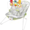 Fisher-Price Baby Bouncer - Geo Meadow, Infant Soothing and Play Seat, Multi
