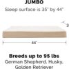 FurHaven NAP Ultra Plush Orthopedic Deluxe Cat & Dog Bed w/Removable Cover, Cream