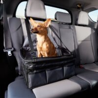 HDP Deluxe Lookout Dog, Cat & Small Animal Booster Car Seat - Black