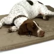 K&H Pet Products Outdoor Heated Dog Pad Tan Large 25 X 36 Inches