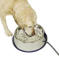 K&H Pet Products Thermal-Bowl Stainless Steel Dog & Cat Bowl, 102-oz