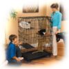 MidWest Collapsible Wire Cat Cage Playpen