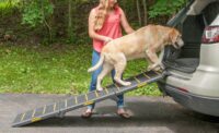 Pet Gear Reflective Extra Wide Foldable Dog Car Ramp, Tri-fold