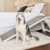 PetSafe CozyUp Wooden Cat & Dog Ramp - Durable Frame Supports up to 120lb - Furniture Grade Wood Pet Ramp with Cherry or White Finish - High-Traction Carpet Surface – Dog Bed Ramp for Older Pets