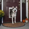 PetSafe Extreme Weather Energy Efficient Pet Door