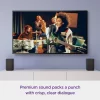 Roku 9020R2 6.1-in 80-Watt Set of 2 Smart Indoor Portable Speaker
