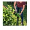 Greenworks HT24B414 24-Volt 22-in Dual Cordless Electric Hedge Trimmer (Battery & Charger Included)