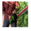 Greenworks HT24B414 24-Volt 22-in Dual Cordless Electric Hedge Trimmer (Battery & Charger Included)