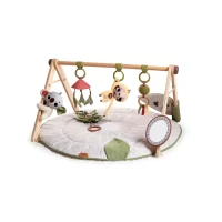 Tiny Love Boho Chic Gymini with Mirror and Detachable Toys, Developmental Gym and Playmat for Babies, Newborns, and Infants