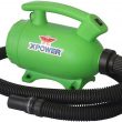 XPOWER B-2 “Pro-At-Home” Pet Dryer and Vacuum (Green)