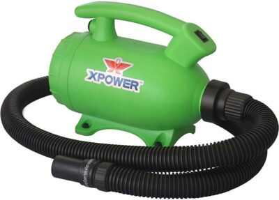 XPOWER B-2 “Pro-At-Home” Pet Dryer and Vacuum (Green)