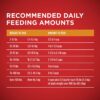 Purina ONE Natural Dry Dog Food SmartBlend Chicken & Rice Formula - 31.1 lb. Bag