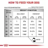 Royal Canin Veterinary Diet Gastrointestinal Low Fat Loaf Canned Wet Dog Food, 13.5 oz., Case of 24