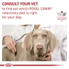 Royal Canin Veterinary Diet Gastrointestinal Low Fat Loaf Canned Wet Dog Food, 13.5 oz., Case of 24