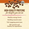 Merrick Lil' Plates Grain Free Real Texas Beef + Sweet Potato Recipe Small Breed Dry Dog Food, 20 lbs.