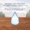 Blue Buffalo Blue Wilderness Rocky Mountain Recipe Adult Red Meat Dinner Wet Dog Food, 12.5 oz., Case of 12