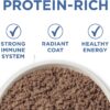 Purina ONE Grain Free Natural Senior Pate Wet Cat Food, Vibrant Maturity 7+ Chicken & Ocean Whitefish Recipe - (24) 3 oz. Pull-Top Cans