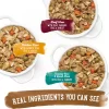 Purina Beneful High Protein Gravy Wet Dog Food Variety Pack, Prepared Meals Stew - (12) 10 oz. Tubs