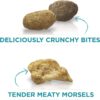 Purina ONE Natural Dry Cat Food, Tender Selects Blend With Real Chicken - 7 lb. Bag
