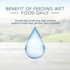 Blue Buffalo Homestyle Recipe Natural Senior Wet Dog Food, Chicken 12.5-oz can (Pack of 12)
