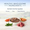 Blue Buffalo Blue Homestyle Recipe Beef Dinner with Garden Vegetables Wet Dog Food, 12.5 oz., Case of 12