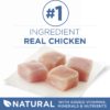 Purina ONE Grain Free Natural Senior Pate Wet Cat Food, Vibrant Maturity 7+ Chicken & Ocean Whitefish Recipe - (24) 3 oz. Pull-Top Cans