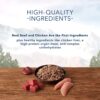 Blue Buffalo Blue Wilderness Beef & Chicken Grill Adult Wet Dog Food, 12.5 oz., Case of 12