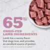 ACANA Singles Limited Ingredient Diet High Protein Lamb & Apple Dry Dog Food, 13 lbs