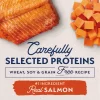 Natural Balance Limited Ingredient Diets Salmon & Sweet Potato Formula Small Breed Bites Dry Dog Food, 12 lbs.