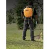 DEWALT DXSP190652 4 Gal. Backpack Sprayer
