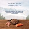 Blue Buffalo Blue Wilderness Salmon & Chicken Grill Wet Dog Food, 12.5 oz., Case of 12