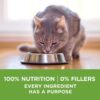 Purina ONE Natural Low Fat, Weight Control, Indoor Dry Cat Food, +Plus Indoor Advantage - 7 lb. Bag