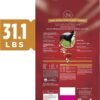 Purina ONE Natural Dry Dog Food SmartBlend Chicken & Rice Formula - 31.1 lb. Bag