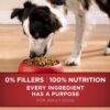 Purina ONE Natural Dry Dog Food SmartBlend Chicken & Rice Formula - 31.1 lb. Bag