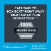 Boxiecat Natural Scent Free Premium Clumping Clay Cat Litter, 16 lbs.