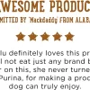 Purina Beneful High Protein Gravy Wet Dog Food Variety Pack, Prepared Meals Stew - (12) 10 oz. Tubs